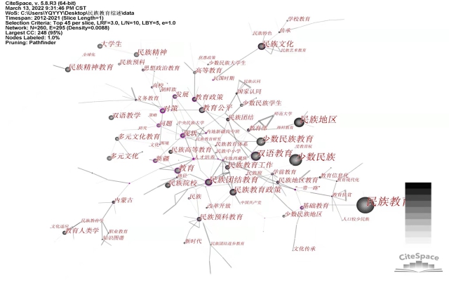 p19 圖2 民族教育研究共現(xiàn)網(wǎng)絡圖譜（2012-2021）.jpg
