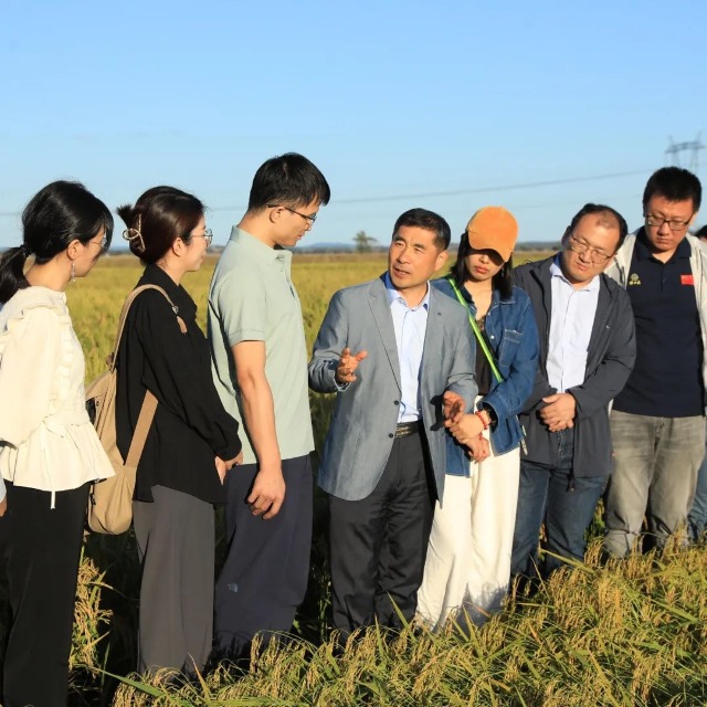 馬軍院士在稻田里授課。辛然攝.jpg