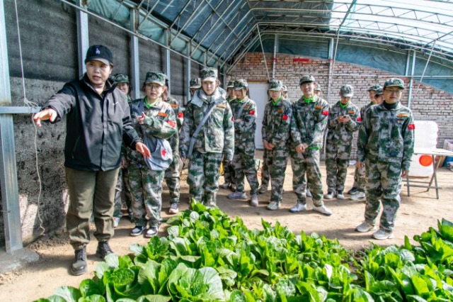 師生在第六埠村蔬菜大棚，了解蔬菜種植過程和常見病蟲害防治等知識。.jpg