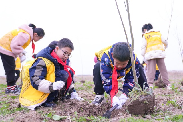 寧波慈溪學子在現(xiàn)代農業(yè)生態(tài)產業(yè)園植樹 慈溪市學生成長指導中心供圖.jpg